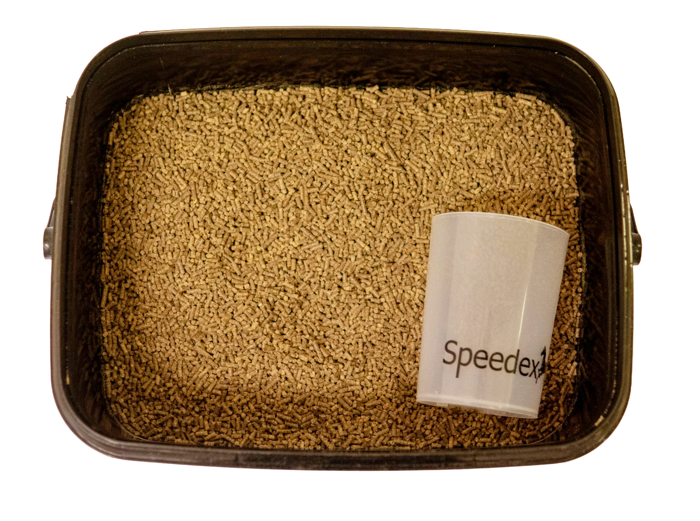 sandgo